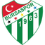 Bursaspor crest