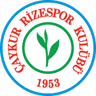 Rizespor crest