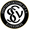 SV Elversberg crest