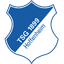 1899 Hoffenheim crest