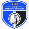 Black Bulls Maputo crest