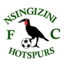 Nsingizini Hotspurs crest