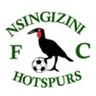 Nsingizini Hotspurs crest