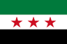 Syria U20 crest