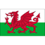 Wales U18 crest