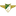 MOR crest