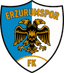Erzurumspor FK crest