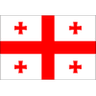 Georgia U17 crest